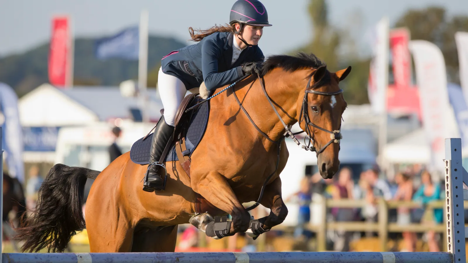 WEF Turns 50: What's New at Wellington International for the 2027 Winter Equestrian Festival