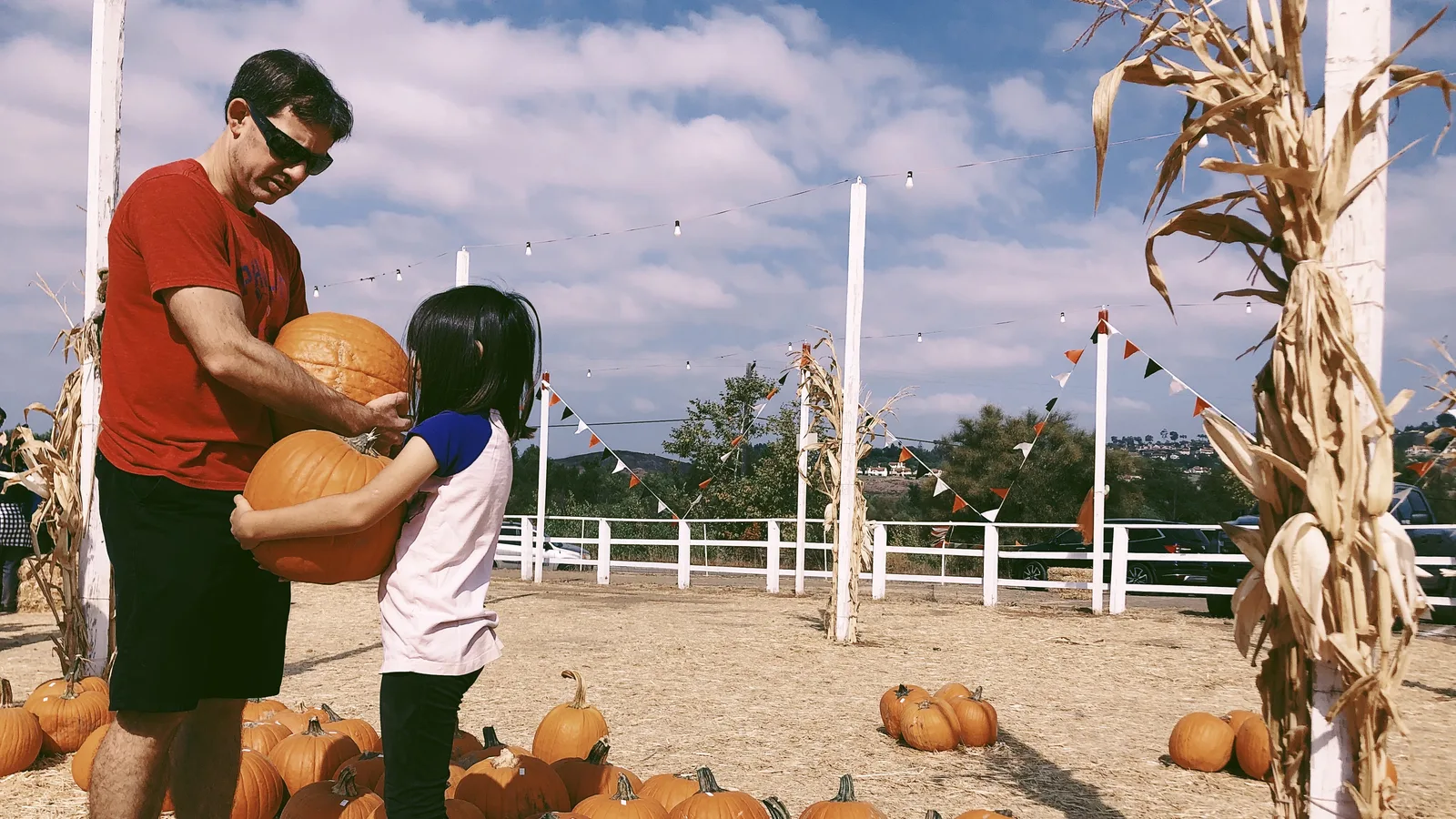 Pumpkins in Jupiter, Salsa in Fort Lauderdale and a Doral Dog Parade Lead the Gold Coast Weekend