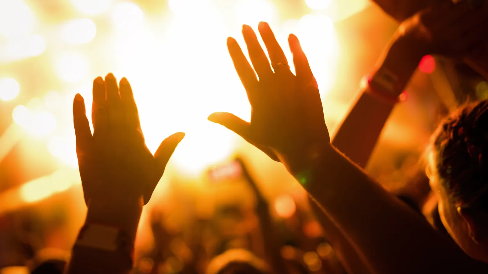 The Chainsmokers, FISHER and Zedd Lead Palm Tree Music Festival's West Palm Beach Lineup, Now Two Days