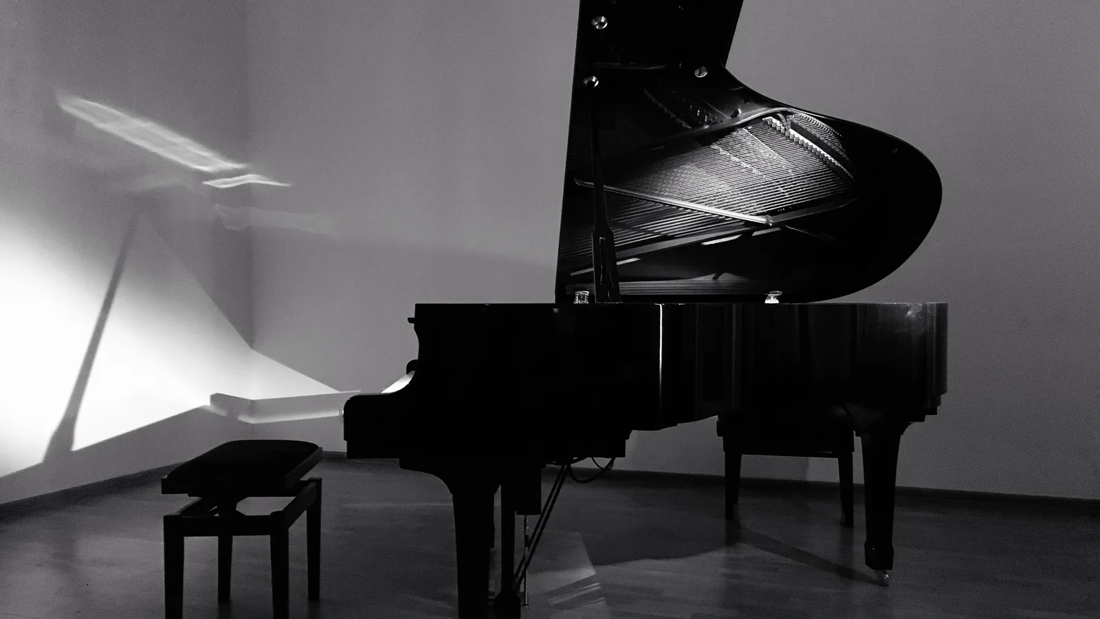 Steinway & Sons Opens a Factory-Owned Piano Showroom on South Dixie Highway