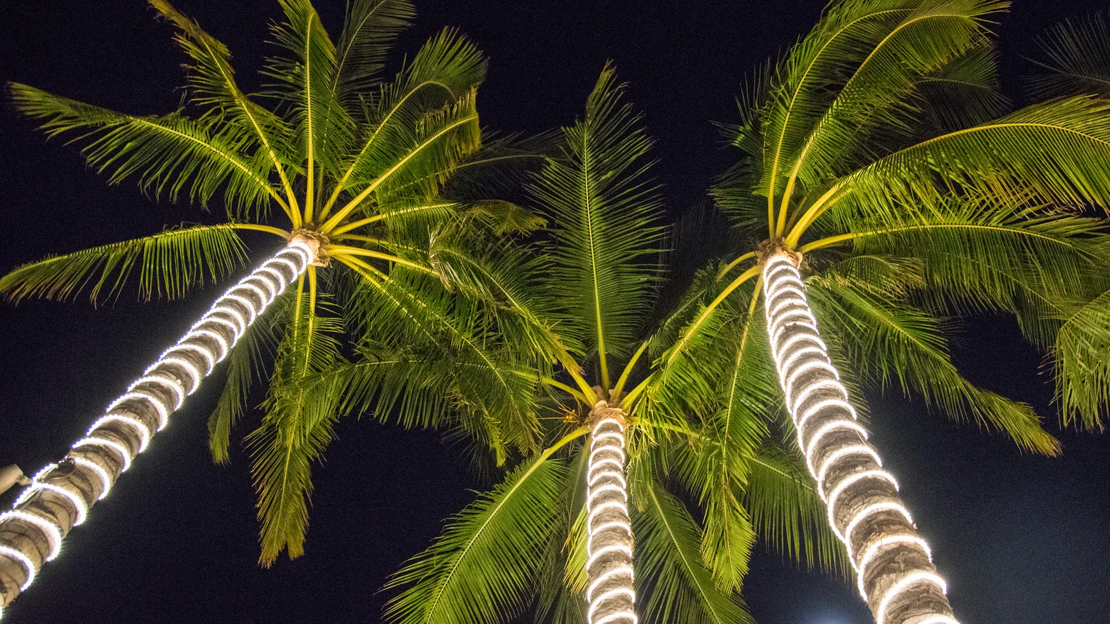 Sunny Isles Beach Lights Up Gateway Park for Winter Fest on November 21 and 22