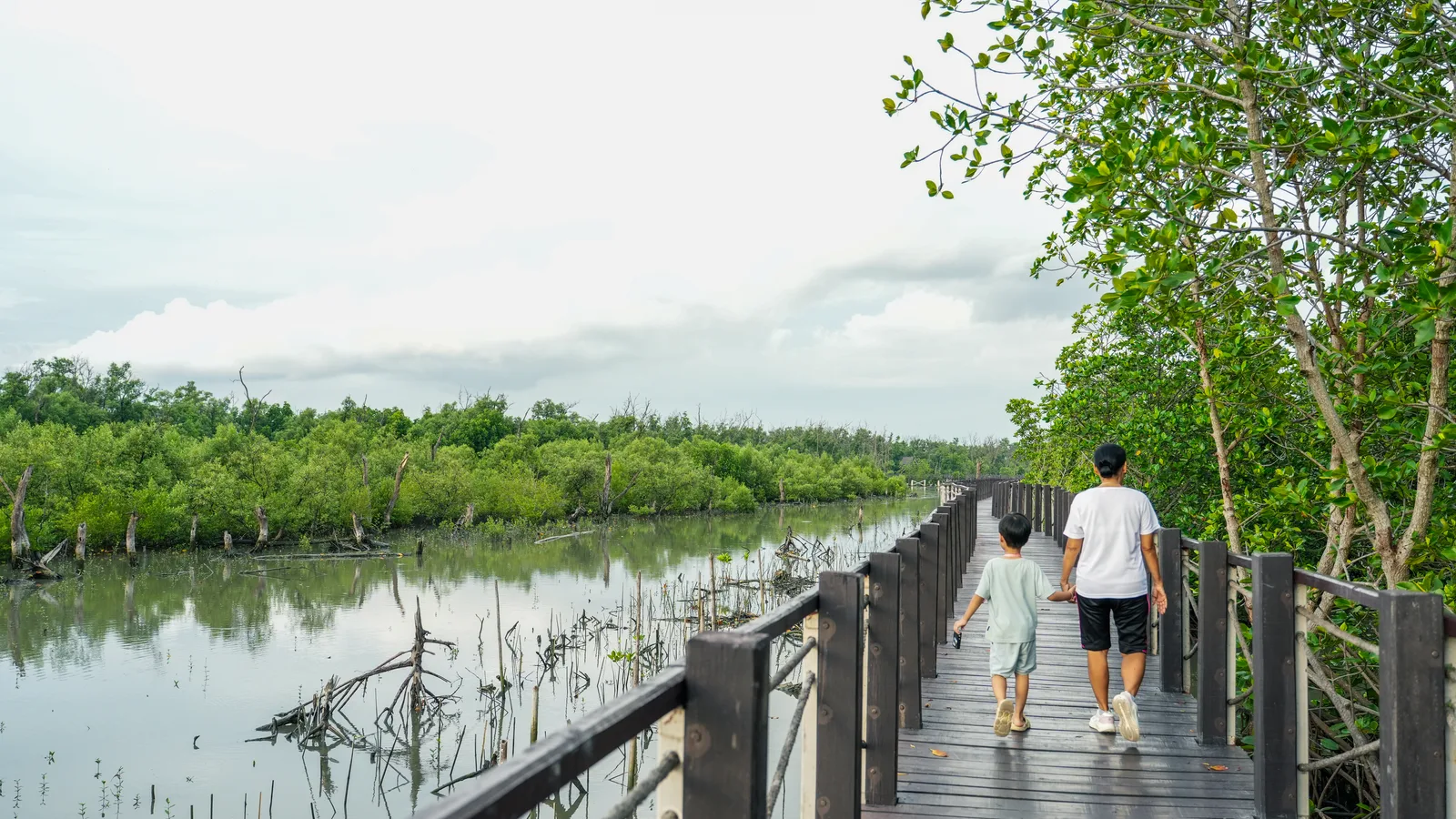 Jupiter Inlet Lighthouse Gets a Boardwalk, a Beach and a Snorkel Reef. The Grand Opening Is December 3