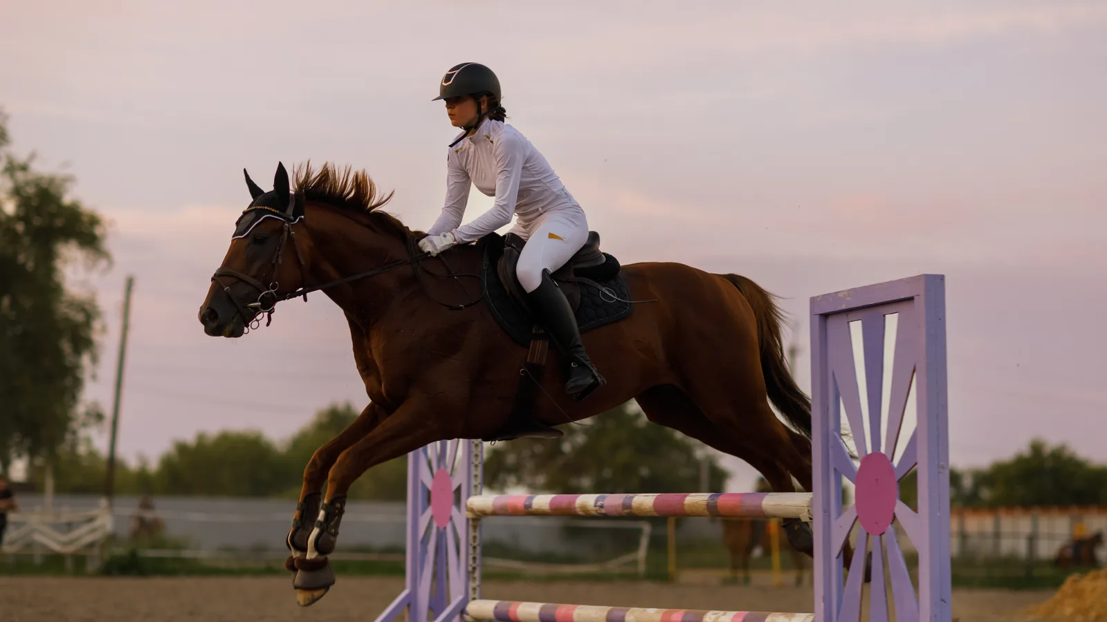 Wellington's Western Ride Rolls Out Sunday, and the Rest of the Week Is Free