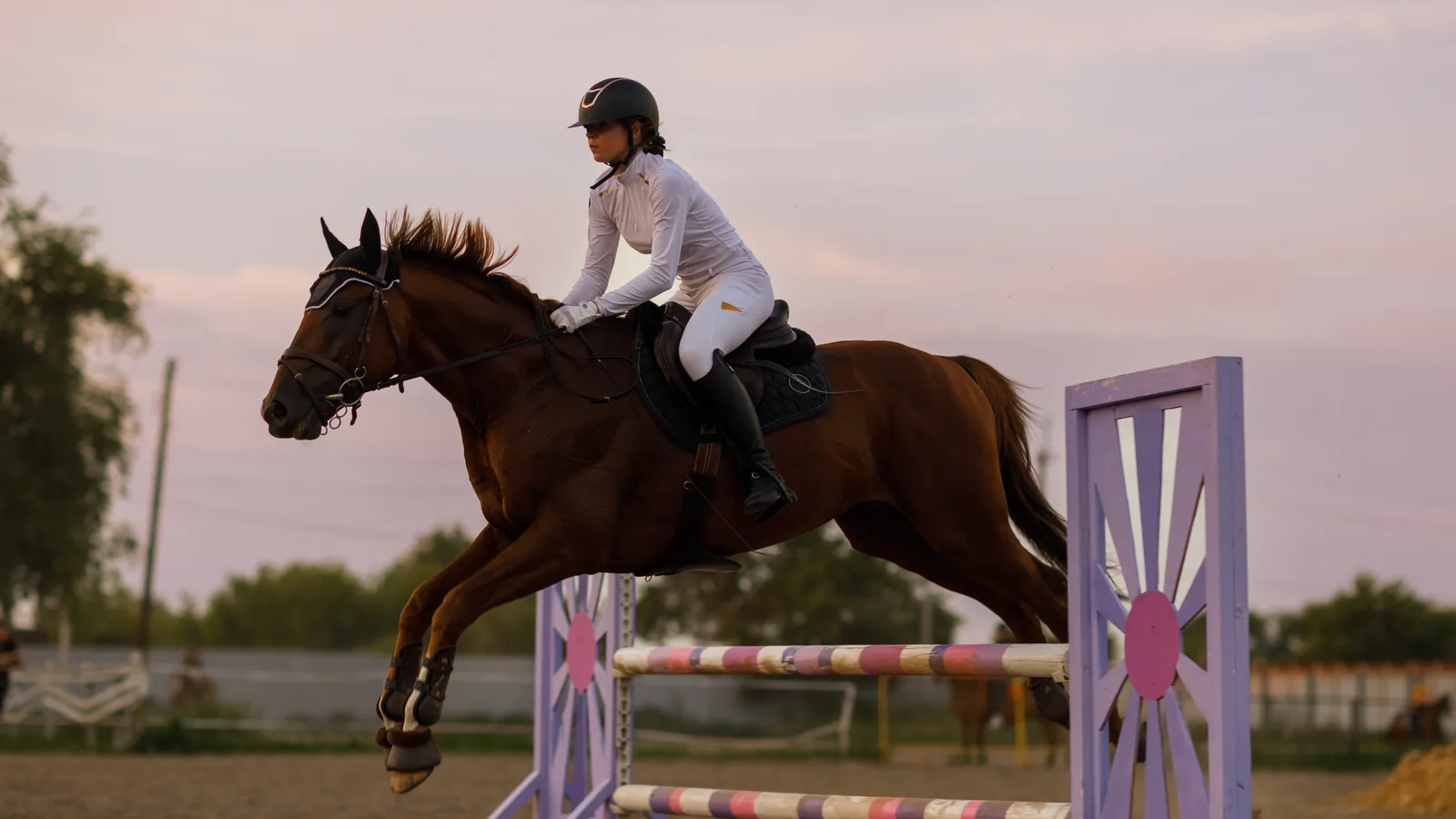Wellington's Week Runs From Free Seats at the Horse Show to an ELO Tribute at the Amphitheater