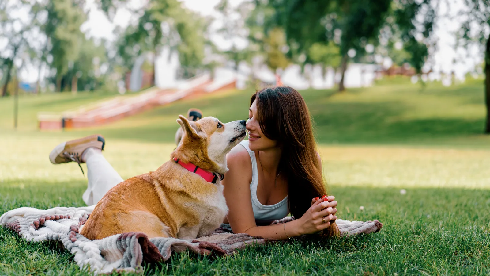 Free Pet Vaccines and Microchips Are Parked at Flamingo Park Through December