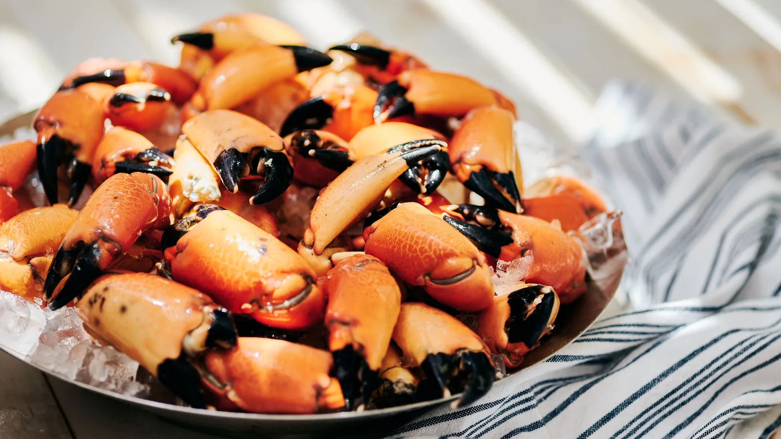 Joe's Stone Crab Reopens October 16 for Its 114th Season on Miami Beach