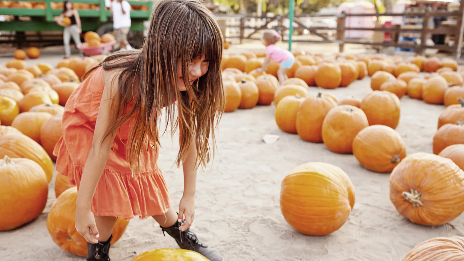 Fort Lauderdale Beach Gets Its Free Pumpkin Patch Back on Oct. 24