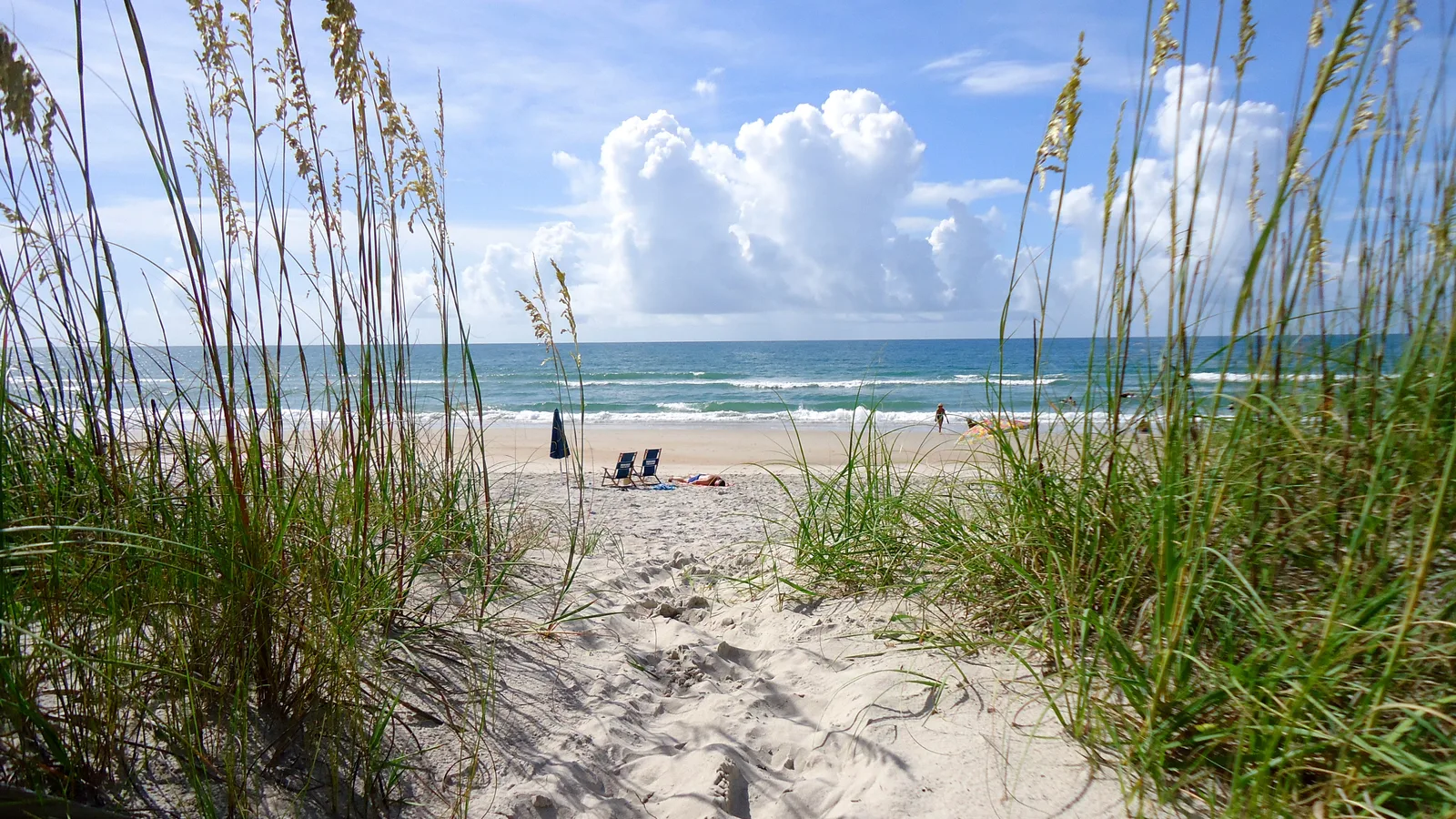 Five Weeks Out, Phipps Ocean Park Readies a New Beach, a Relocated Schoolhouse and Native Dunes