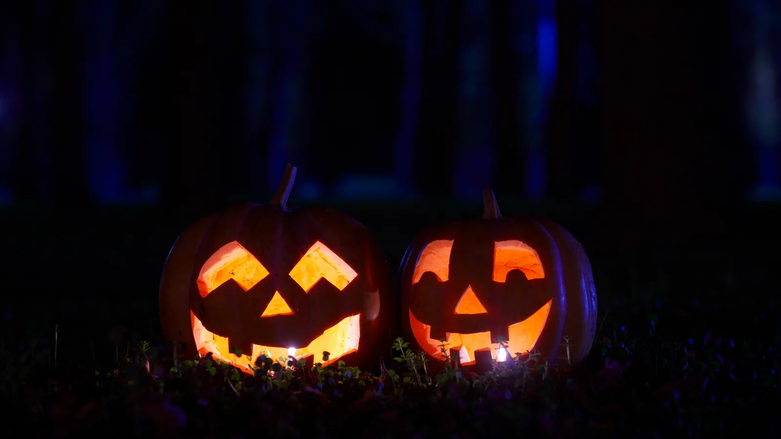 Shadows at Fairchild, Witches on Bikes in Delray: Six Ways to Spend the Gold Coast's Halloween Weekend