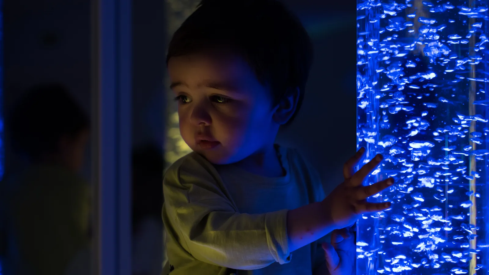 Boca Raton Is Opening a Sensory Room and a Year-Round Program for Kids With Disabilities at Patch Reef Park