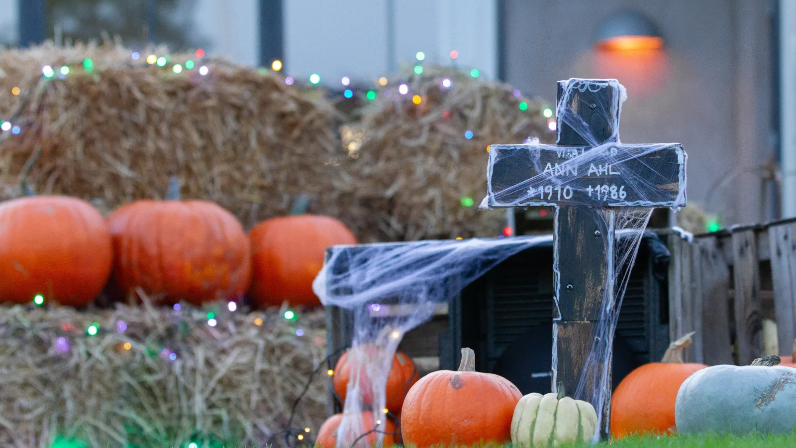 Hayrides, Pony Rides and Live Scares: North Miami's Haunted Trail Takes Over Enchanted Forest on Oct. 23